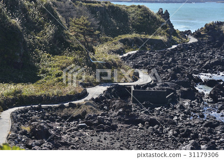 Ollegil, Hantam Coastal Trail, Alewith, Jeju, Jeju Island 31179306