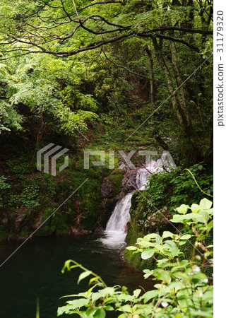 Hanaini Valley immobile waterfall 31179320