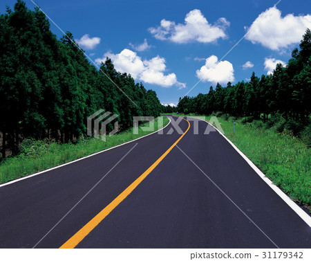 Jeju Island 31179342