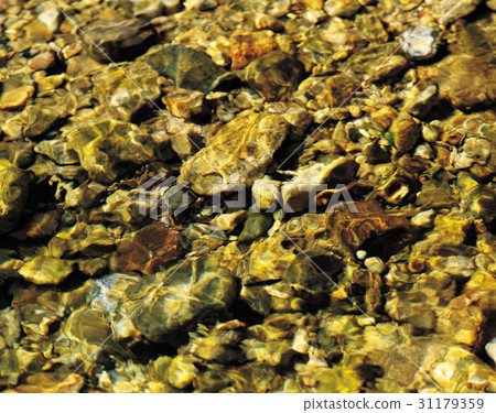 atrium, a recitation or recital, cavity 31179359