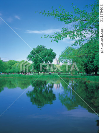 中央公園,紐約,美國 中央公園,紐約,美國 31179468