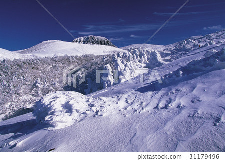 漢拏山，西歸浦市，濟州島 31179496