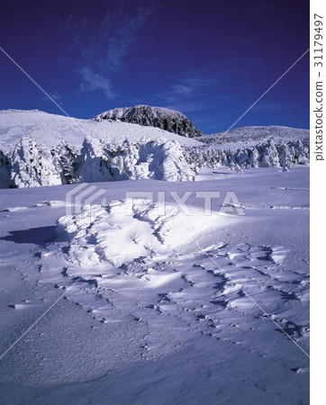 漢拏山，西歸浦市，濟州島 31179497
