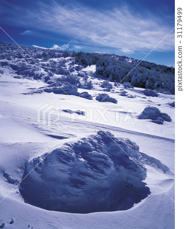 Halla Mountain, Seogwipo City, Jeju Island Halla Mountain, Seogwipo City, Jeju Island 31179499