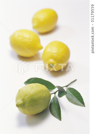 lemon lemon 31179559