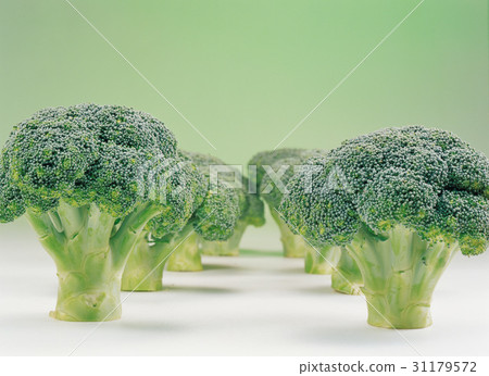 西蘭花 西蘭花 31179572