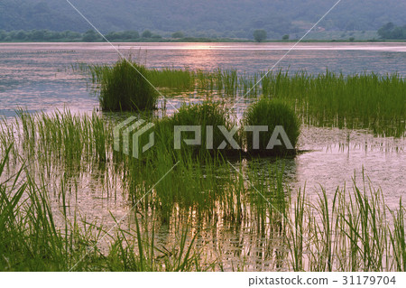 慶南昌寧郡浦浦 31179704