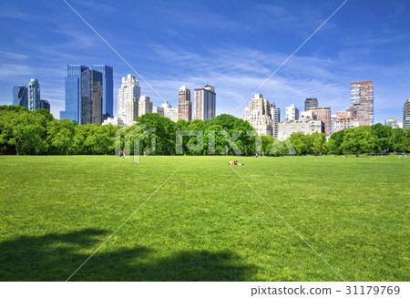 Central Park, Manhattan, New York, USA 31179769