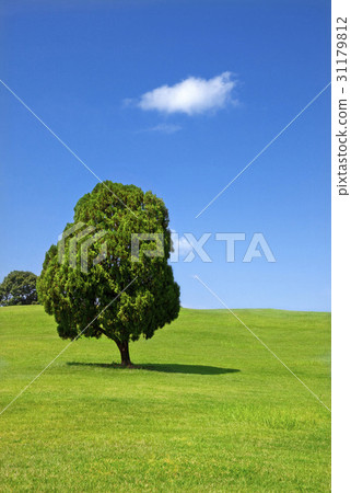 Olympic Park, Songpa-gu, Seoul 31179812