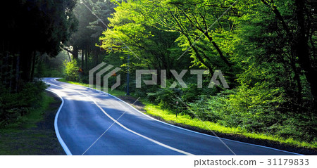 Jeju Island Jeju Island 31179833