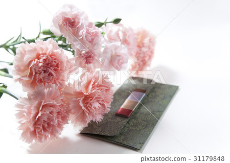 Carnation, card 31179848