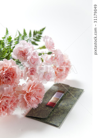 Carnation, card 31179849