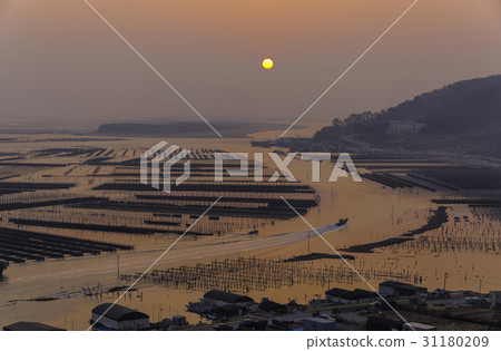 Oyster farm, Gadeokdo, Gangseo-gu, Busan 31180209