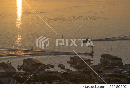 Boat, farm, Nulado, Gangseo-gu, Busan 31180302