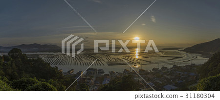 Farms, Nulado, Gangseo-gu, Busan 31180304