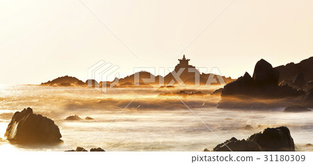 Orang，Daegu，Busan 31180309