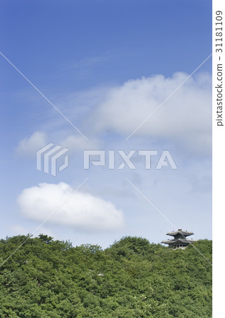 Dongnam University, Bukhansan, Seoul 31181109