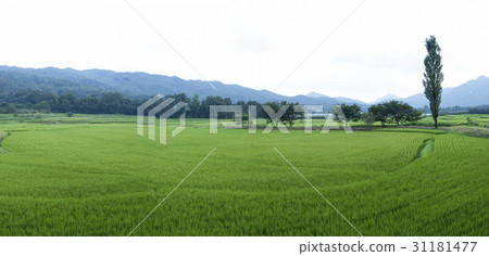 京畿道議政府 京畿道議政府 31181477