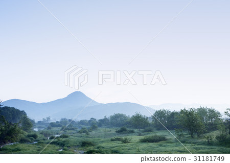 Paju City, Gyeonggi-do 31181749