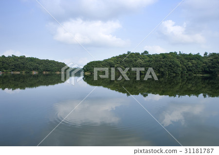 京畿道楊州市曉星水庫 31181787