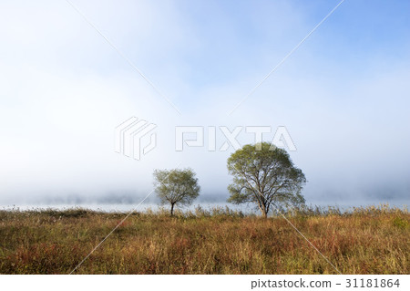 Yangsuri, Yangpyeong-gun, Gyeonggi-do 31181864