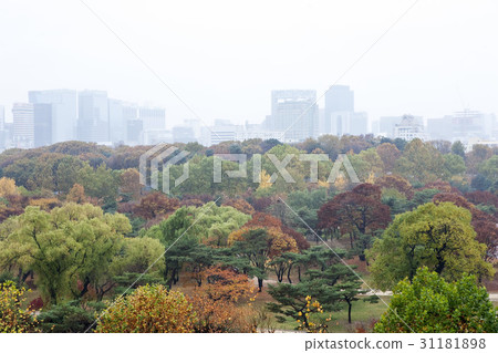 Changgyeonggung, Jongno-gu, Seoul Changgyeonggung, Jongno-gu, Seoul 31181898