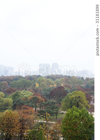 Changgyeonggung, Jongno-gu, Seoul Changgyeonggung, Jongno-gu, Seoul 31181899