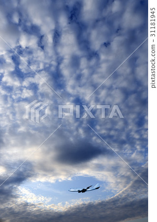 Airplane, composite 31181945