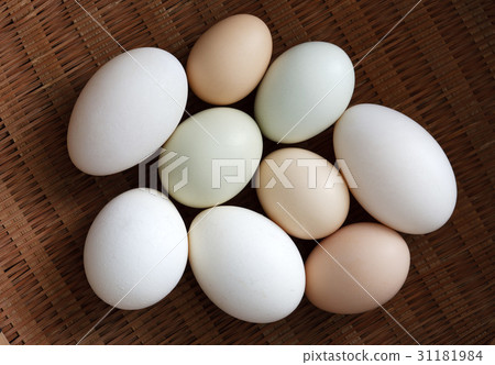 雞蛋 31181984