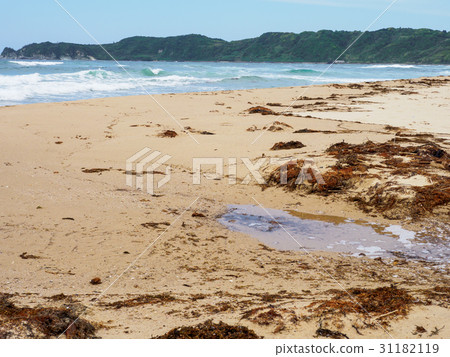 Kotohama海岸 31182119