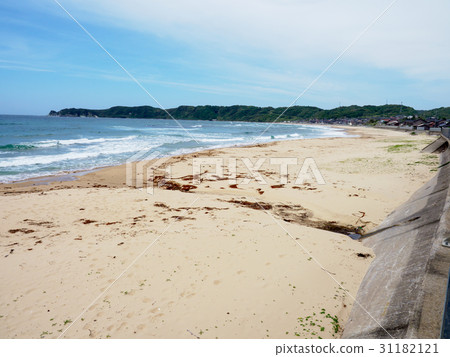 Kotohama coast 31182121