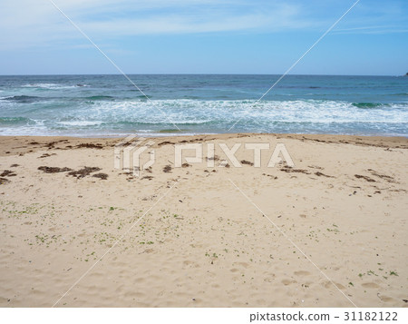 Kotohama coast 31182122