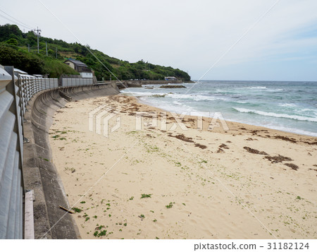 Kotohama coast 31182124