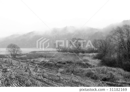 Rampant, Gapyeong-gun, Gyeonggi-do 31182169