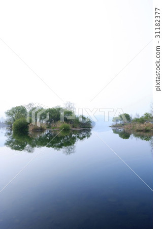 京畿道加平郡布漢河 31182377