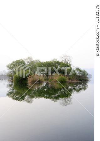 京畿道加平郡布漢河 31182378