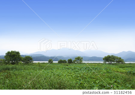 Yeonpyeong, Yeongbongsan, Ungilsan, Yangsuri, Yangpyeong, Gyeonggi 31182456