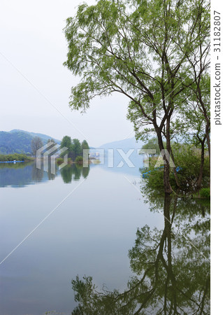 Jara Island, North River, Gapyeong-gun, Gyeonggi-do 31182807