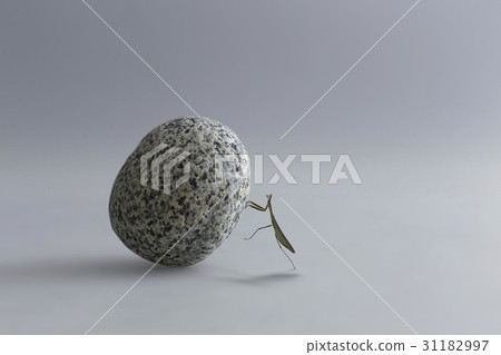 Gravel, warts Gravel, warts 31182997