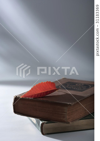 落葉 落葉 31183369