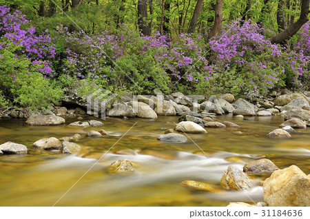 Mountain, valley, Jiri, Namwon, Jeonbuk Mountain, valley, Jiri, Namwon, Jeonbuk 31184636