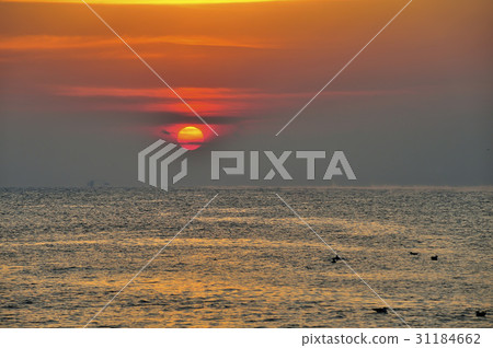 蔚山Ulju縣 蔚山Ulju縣 31184662