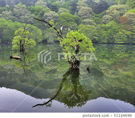 Wangbull, main province, Juwangsan, floating land, Cheongsong-gun, Gyeongbuk 31184696