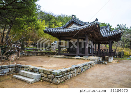 Anmyeondo Arboretum,Anmyeondo,Taean-gun,Chungnam Anmyeondo Arboretum,Anmyeondo,Taean-gun,Chungnam 31184970