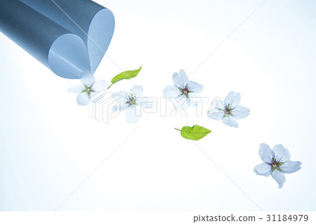 Cherry tree, heart Cherry tree, heart 31184979