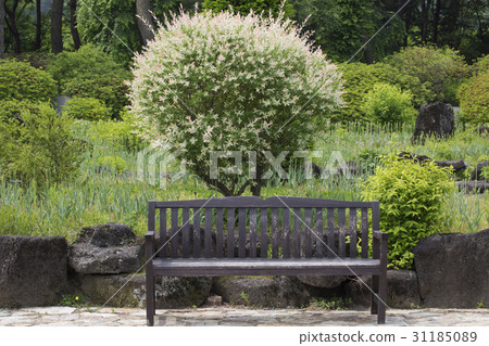 Bench, Wall Flower Cultural Arboretum, Paju City, Gyeonggi-do 31185089