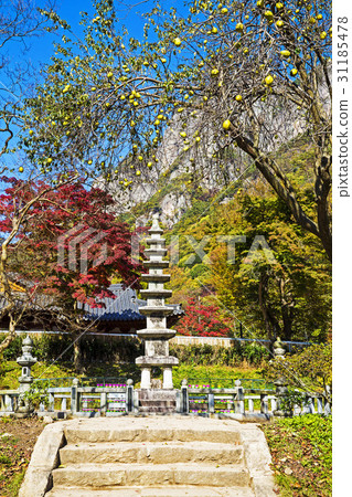 白楊寺的八層寶塔,白楊沙寺,白沙山,長城縣,全南 白楊寺的八層寶塔,白楊沙寺,白沙山,長城縣,全南 31185478