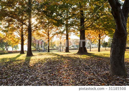 京畿道驪州市Shinreksa旅遊度假區 31185508