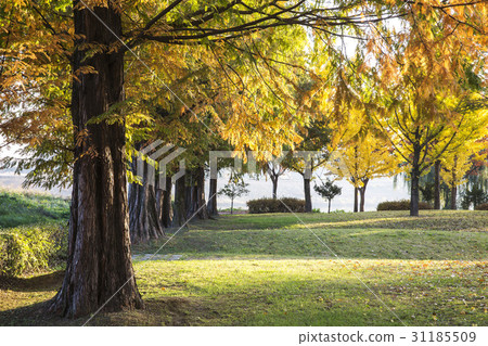 京畿道驪州市Shinreksa旅遊度假區 31185509