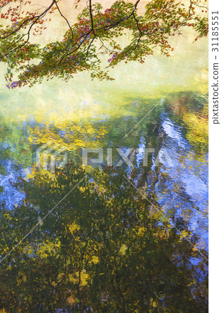 Maple, wave, Baekam Mountain, Changseong County, Jeonnam 31185551